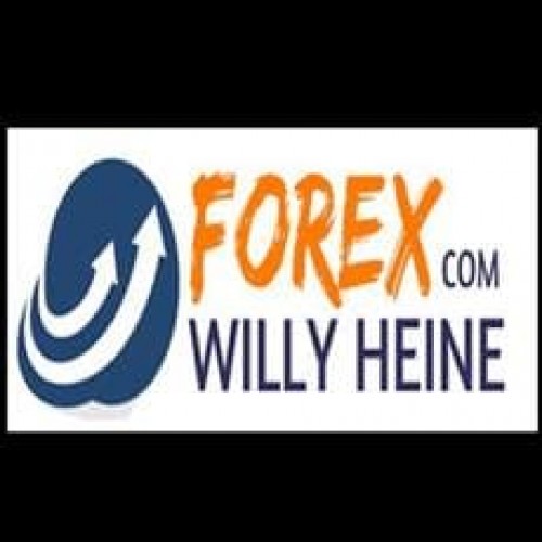 A Sua Jornada no Forex - Willy Heine