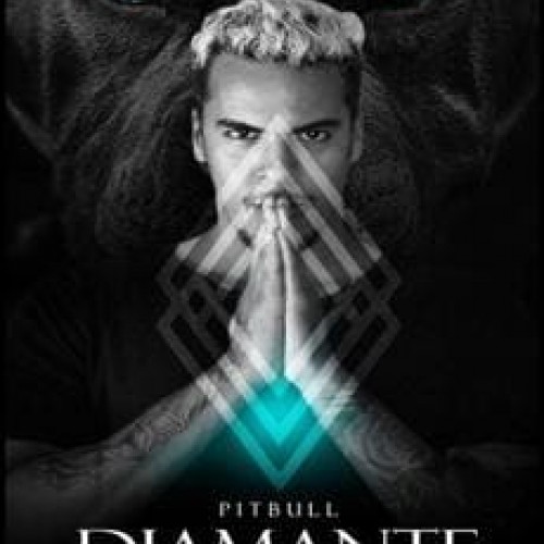 Pitbull Diamante - Tom Freire